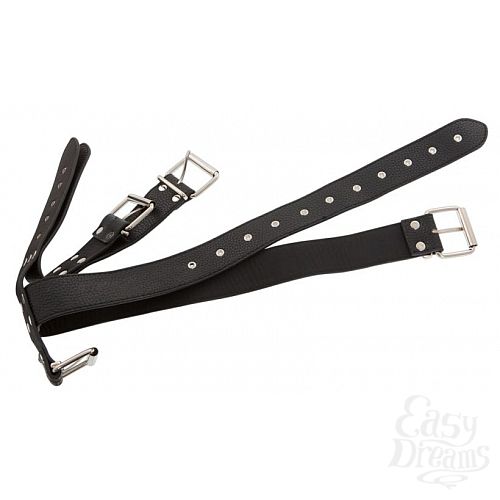  5       Bad Kitty Neck and Hand Restraints