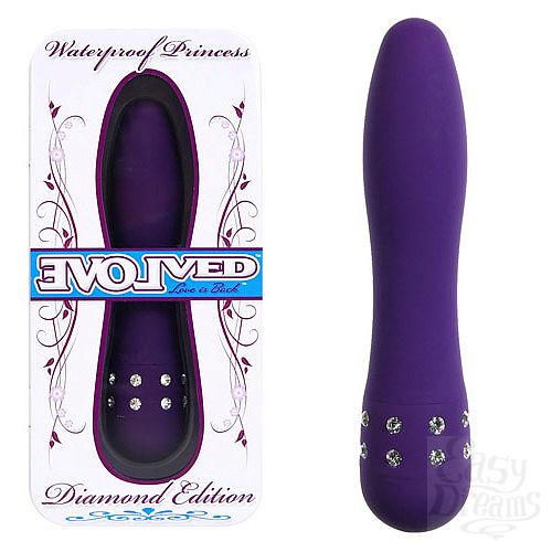 ���������� 1:  �������� � ������� PRINCESS ���������� EN-AD-0002-02-2