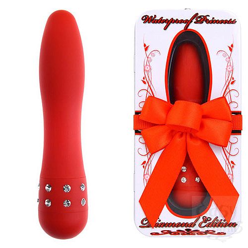 ���������� 1:  �������� � ������� PRINCESS ������� EN-AD-0002-04-2