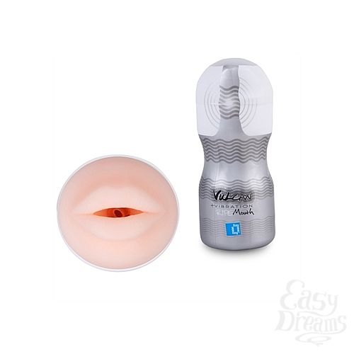 ���������� 1:  ����������� � ���� ������ ������ � ����������