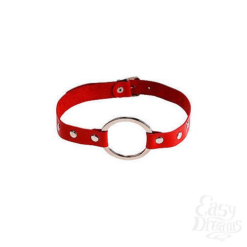 ���������� 1:  ����-����� �������