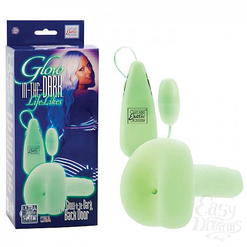 ���������� 1:  �������������� ����� � �����-������� 0446-20 BX SE