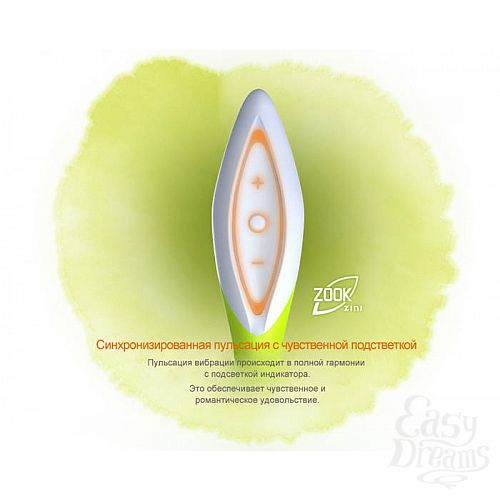 ���������� 4  �������� ���-��� ZINI ZOOK ������ � �������