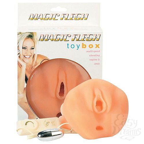 ���������� 1:  ������ ����������� � ���� ( Dream toys 50044)