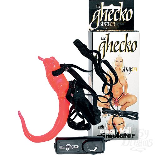 ���������� 1:  ������������ ���������� �������� (Dream toys 50145)