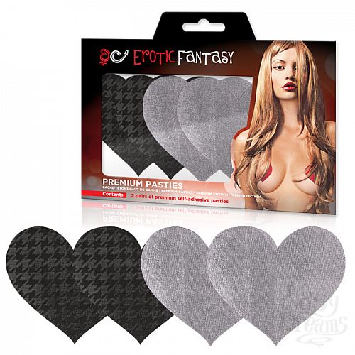 ���������� 1:  ����������� � ������ � �������� �������-������ PRIVATE PLANE EF-PS05