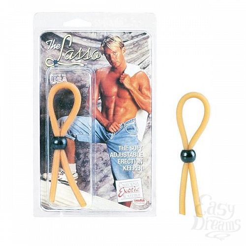 ���������� 1:  ����� Lasso 1408-01CDSE