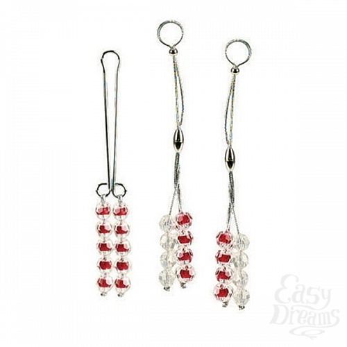 ���������� 2  ����� ����������� �������� �� ����� � ������ Nipple/Clit Jewel Ruby2611-11CDSE