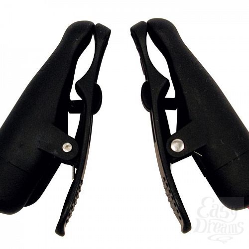 ���������� 1:  ������ �� ����� � ������ � ����� (������) NIPPLE TWITTERZ VIBR NIPPLE CLIPS9784TJ