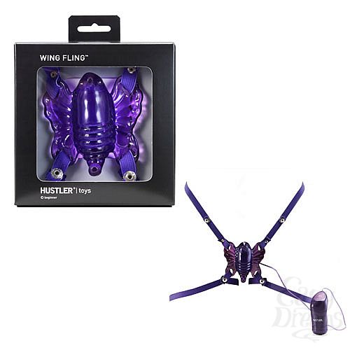 ���������� 1:  ������� �� �������� ���������� WING FLING