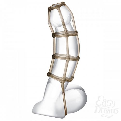 ���������� 1:  ������ ������� � ������ COCK CAGE