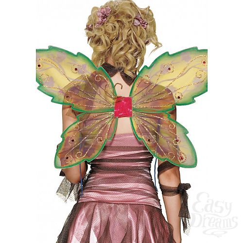 ���������� 1:  ������ ���