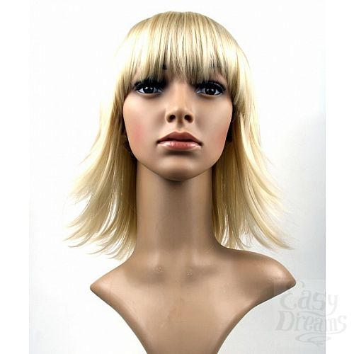 ���������� 6  ����� Steph Wig - �������� ������� ������� �����, ������