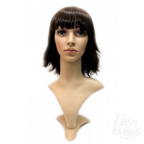 ���������� 3  ����� Steph Wig - �������� ������� ������� �����, ����������