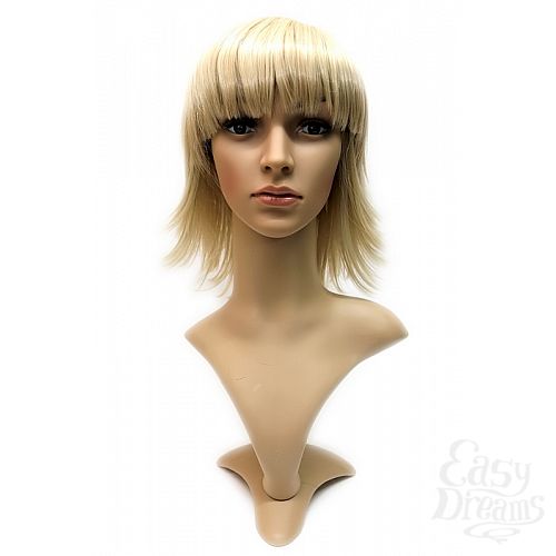���������� 2  ����� Steph Wig - �������� ������� ������� �����, ����������
