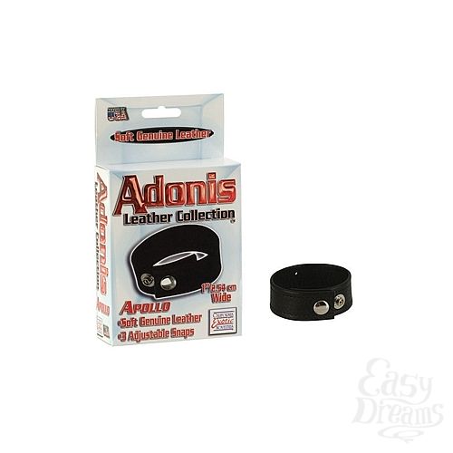 Фотография 1:  Сбруя ADONIS APOLLO LEATHER COCKRING 1367-20BXSE