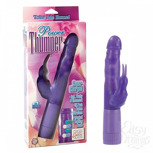 ���������� 1:  �������� ���-��� Power Thumper 0777-20CDSE