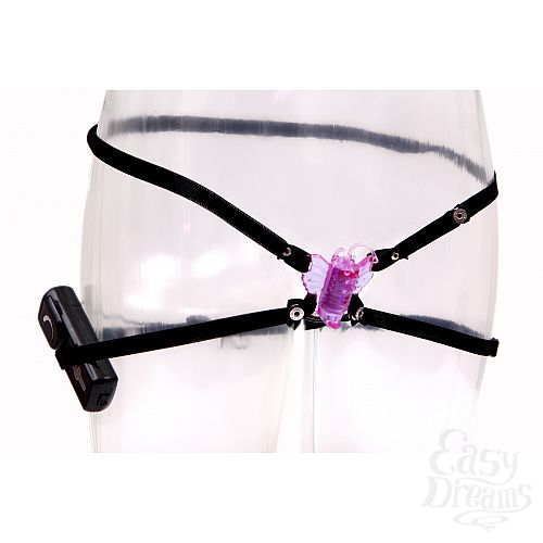  1:   Butterfly Stimulator