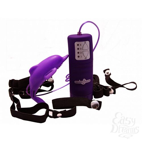  1:        Dolphin Vibrator