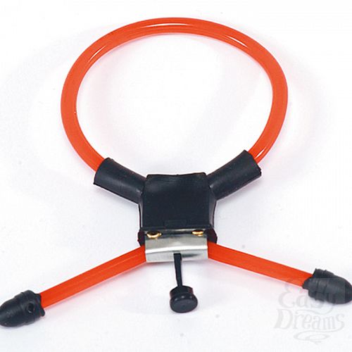  1:    Cockring