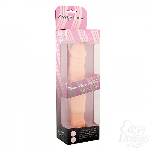 ���������� 2  �������� Bossa Nova Buddy, 26 ��, ��������