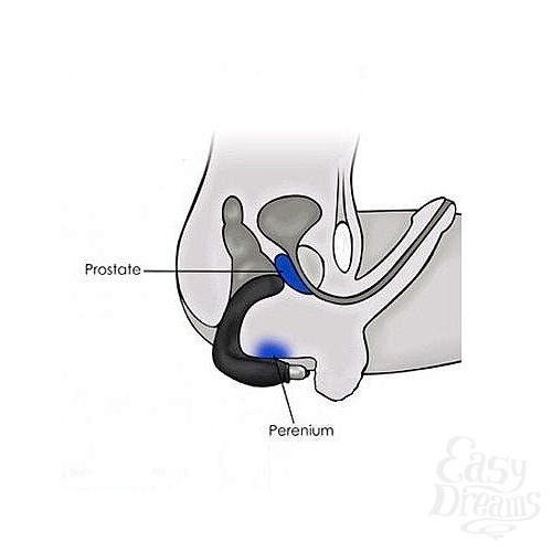 ���������� 3  �������� �������� Bad Boy Rocks-Off, ������