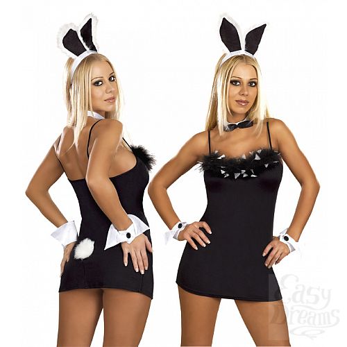  1:   Bunny, XL