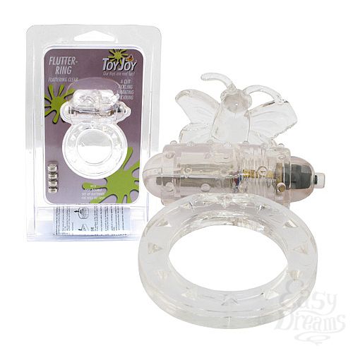 ���������� 1:  �����-������ �����������