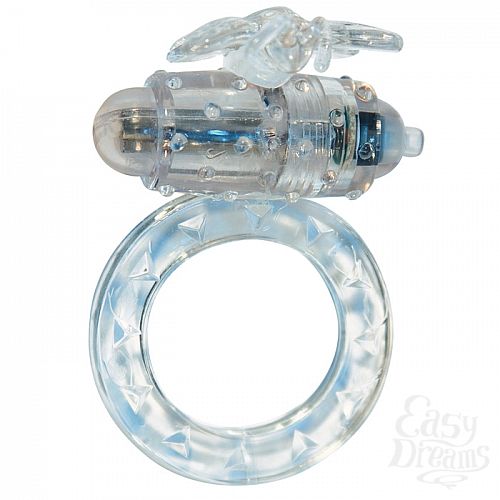 ���������� 1:  ����������� �����-������� Flutter-Ring