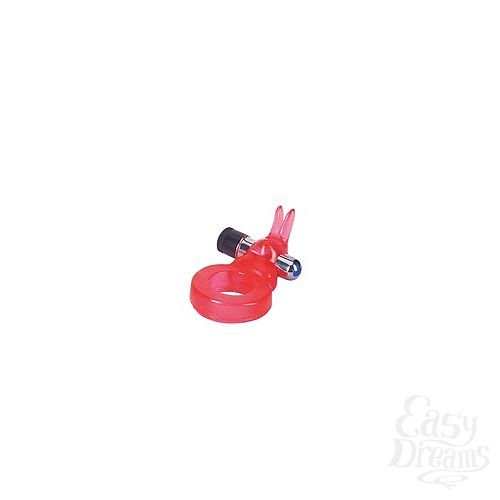 ���������� 1:  �������� � ��������� ����������� ������ � ���������.