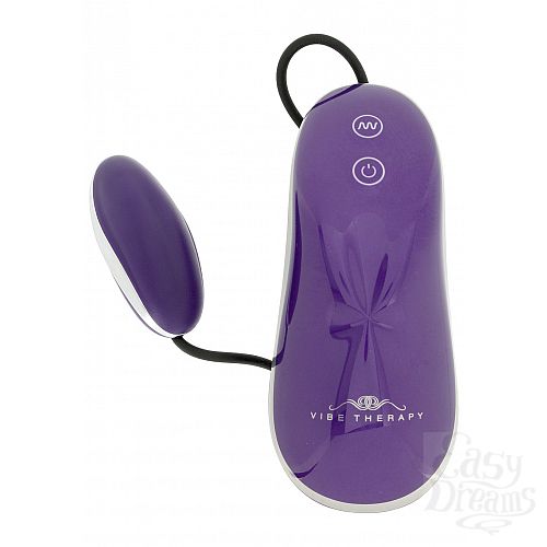  2   VIBE THERAPY SAVOR PURPLE A0104A001-A1