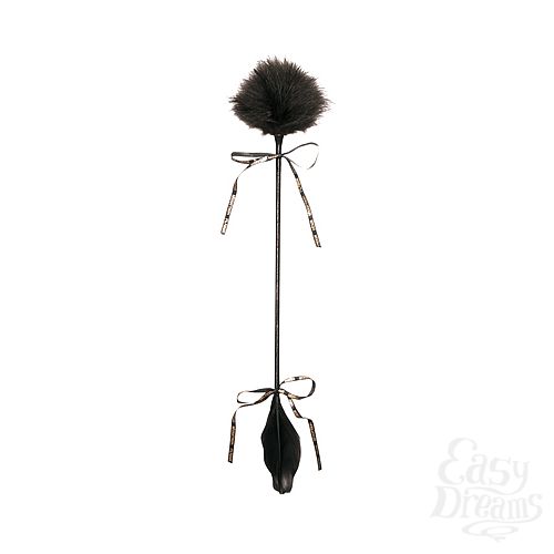  3     LE FLATTEUR / PLUMEAU