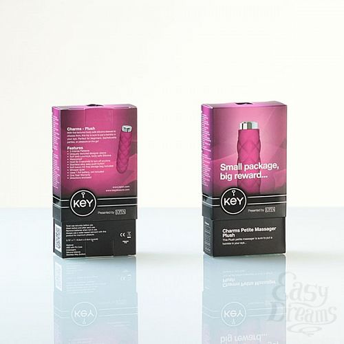 ���������� 3  ������� ���������������� ����������������� Charms Key