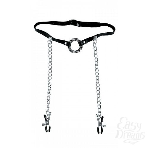 ���������� 2  ������-����������� ��� ��� � ���������, ������������ ��� � �������� ��� ������