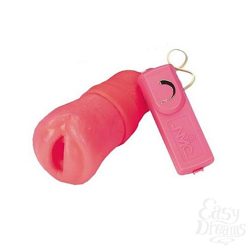 ���������� 1:  ������ Little Miss � ����������