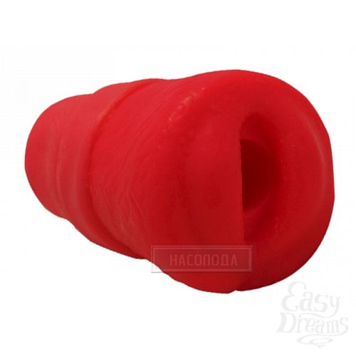 ���������� 3  ������ Little Miss � ����������