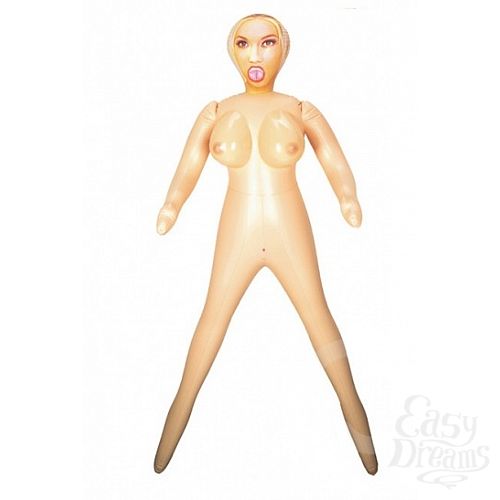 ���������� 1:  �����-������������