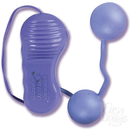 ���������� 2  ������ � ��������� Futurotic GINA LYNN 1122-40 CD SE