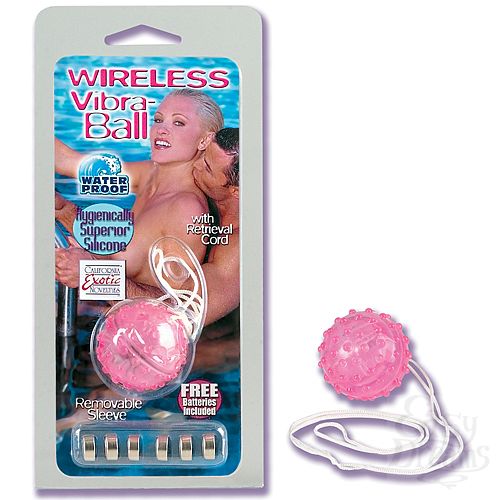 ���������� 1:  �����-����� WIRELESS ������� 1327-04 CD SE