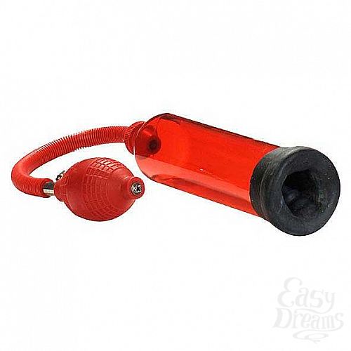 ���������� 1:  ��������� �����