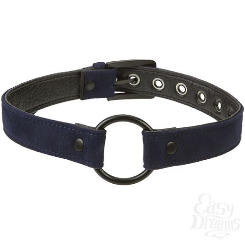 ���������� 2  ���� BLACK&BLUE BREATHABLE GAG 8125-06BXDJ