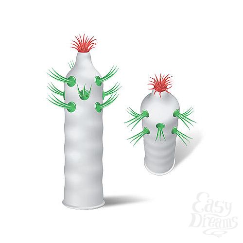 ���������� 2  ������������ Luxe Maxima ��������� ������, 1 ��.