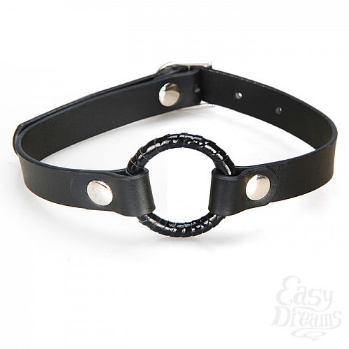 ���������� 1:  ������������� ����-������ O RING GAG