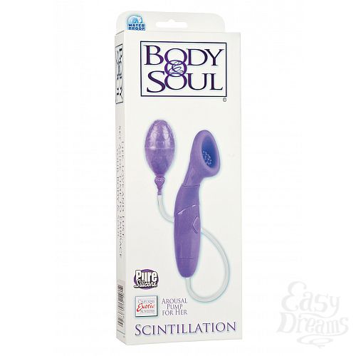  2    BODY&SOUL SCINTILLATION PURPLE 4538-10BXSE