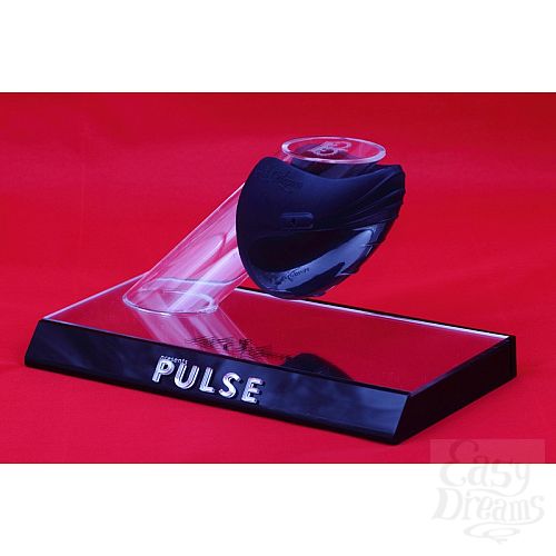 ���������� 10  ������������� ������� ���������� PULSE