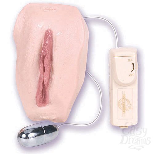 ���������� 2  ������ � ��������� NATURAL 5005-01 BX DJ