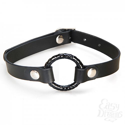 ���������� 1:  ���� � ������� ������� ����� LF4021