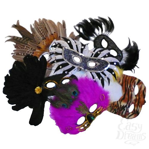 ���������� 1:  ������������ ����� � ������� 6350 EM