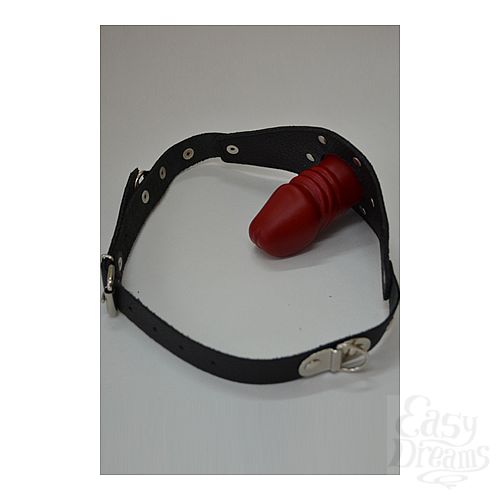 ���������� 1:  ���� ������