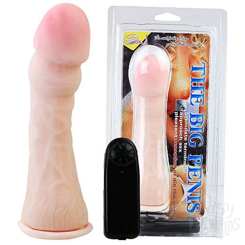 ���������� 1:  ������������� � ������� �������� BW-007011Z